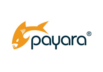 Payara Services Ltd  Logo