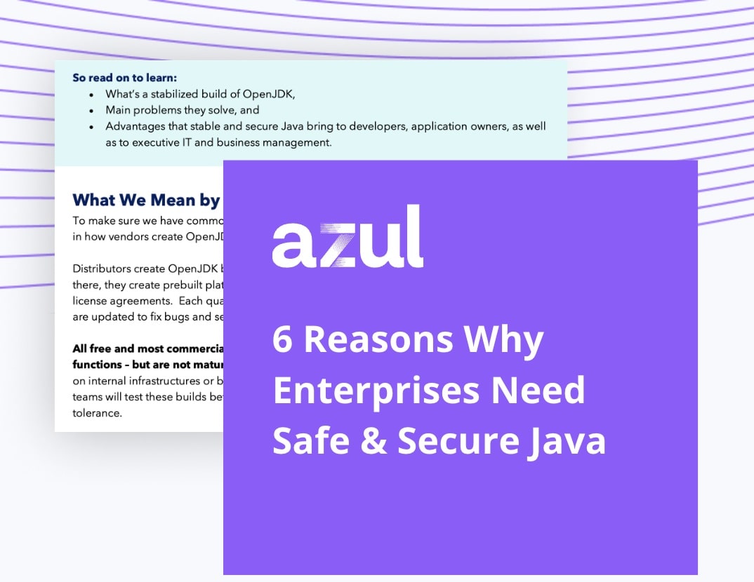 6 Reasons Why Enterprises Need Safe & Secure Java