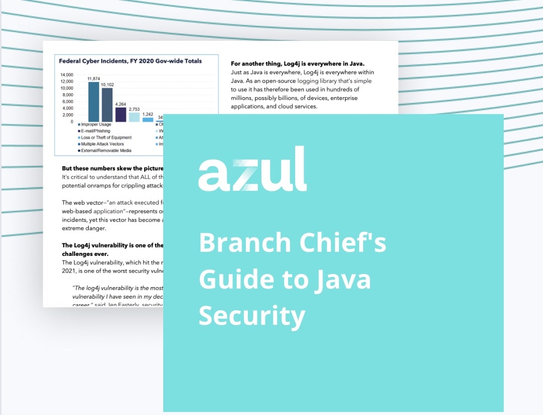Branch Chief's Guide to Java Security