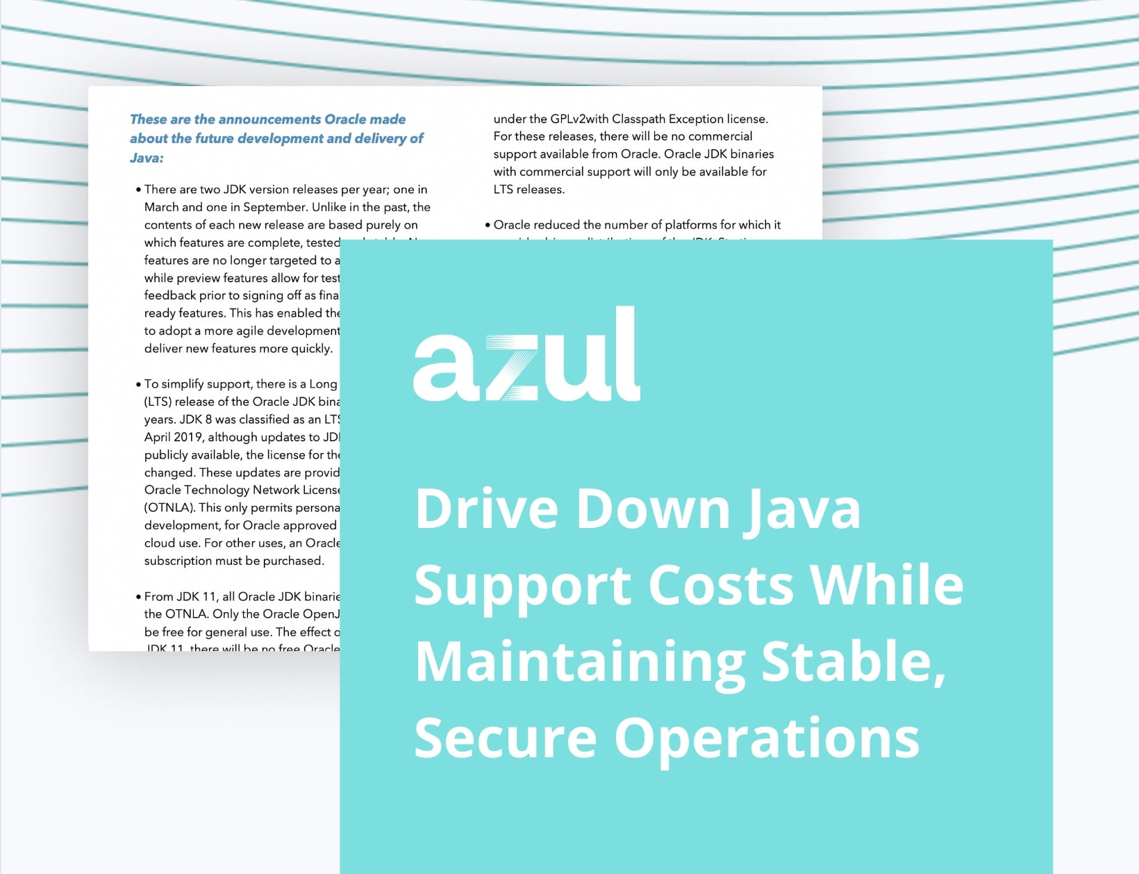 Drive Down Java Support Costs While Maintaining Stable Secure Operations