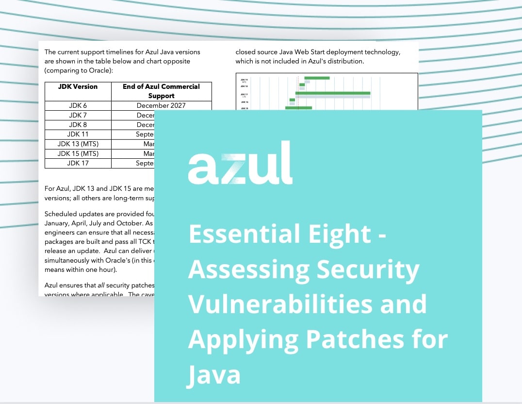 Essential Eight : Assessing Security Vulnerabilities and Applying Patches for Java