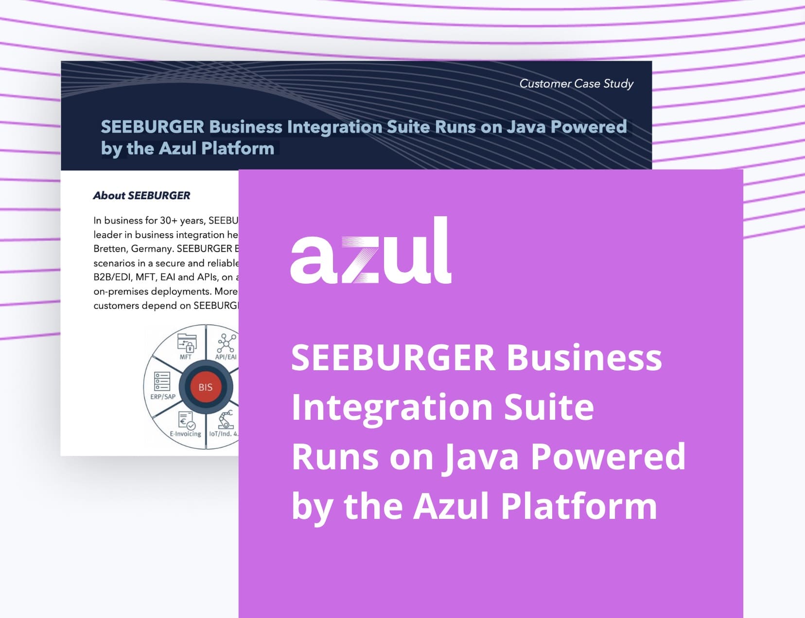 SEEBURGER Business Integration Suite Runs on Java Powered by the Azul Platform