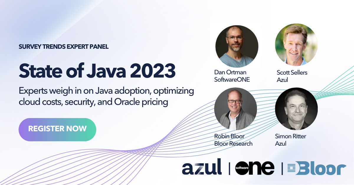 State of Java 2023 Panel