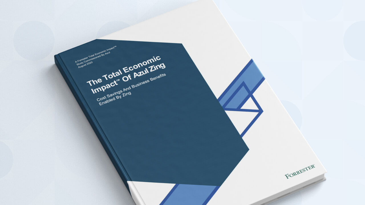 The Total Economic Impact of Azul Zing eBook