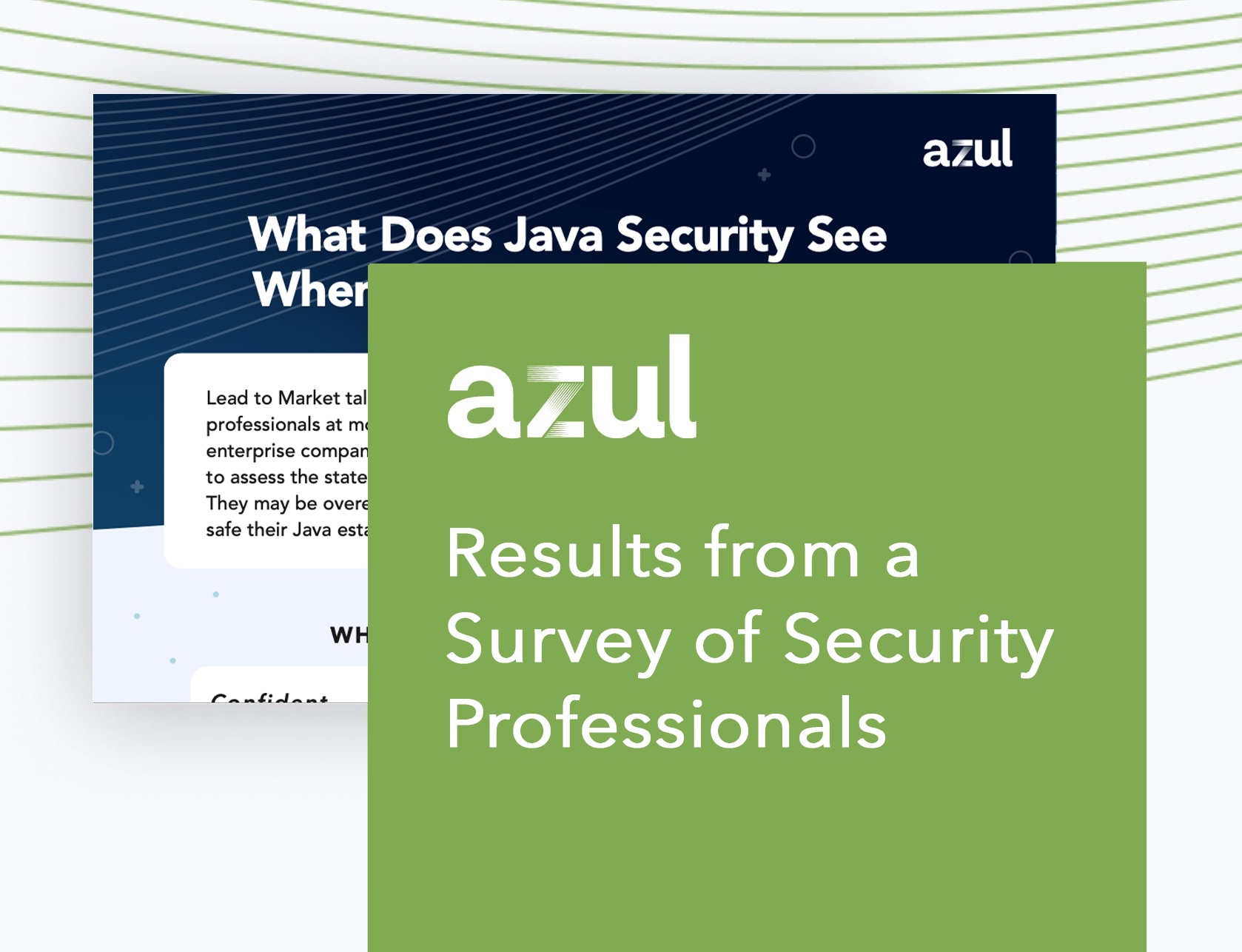Results from a Survey of Security Professionals